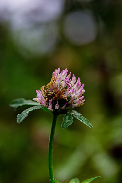 G02f07d8afa01bd797aa6933d336fa732e2ba144d44eb70522f2c3d17dec664f07b5f0c1472b7c4ee353f5ff1f6af00050ae5c54ec13706ef7b01de870add044b 640