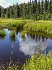 Gec74ba9aad0f5e187922bf39074a85691f5be9eb561d88c95cca05388368b04a70ab3f68c8fb799e355400763846ebf629493d68f49d6cb4feaaffe3effc84fd 640